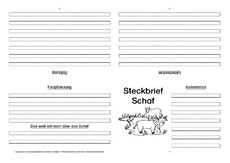 Schaf-Faltbuch-vierseitig-2.pdf